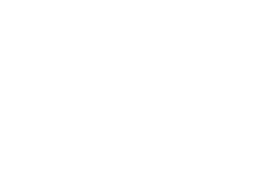 Aluizio Pires Educação